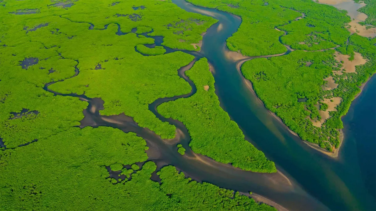 Amazon River